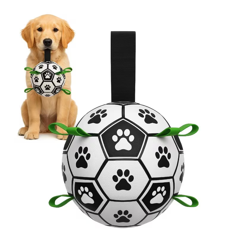 Taggy Ball