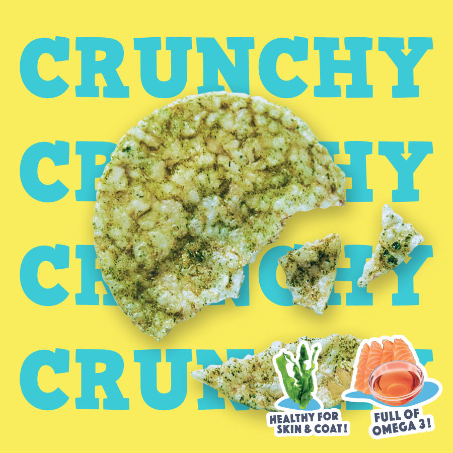 Salmon Oil & Algae Dog Pops