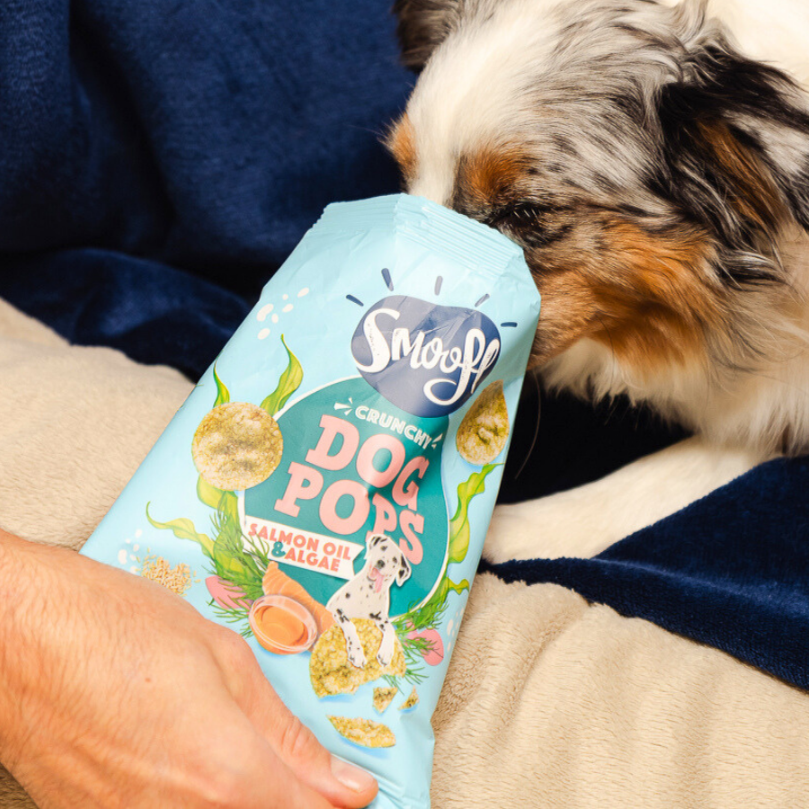 Salmon Oil & Algae Dog Pops