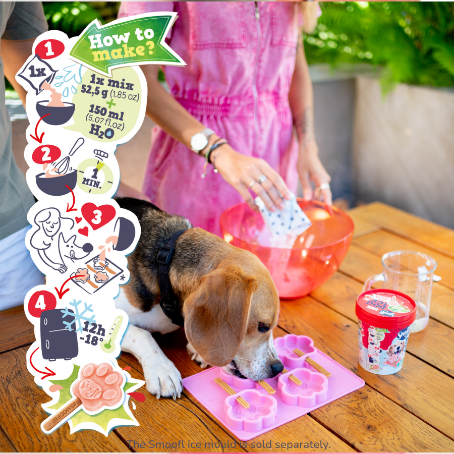 Watermelon Mix for Dog Ice Cream