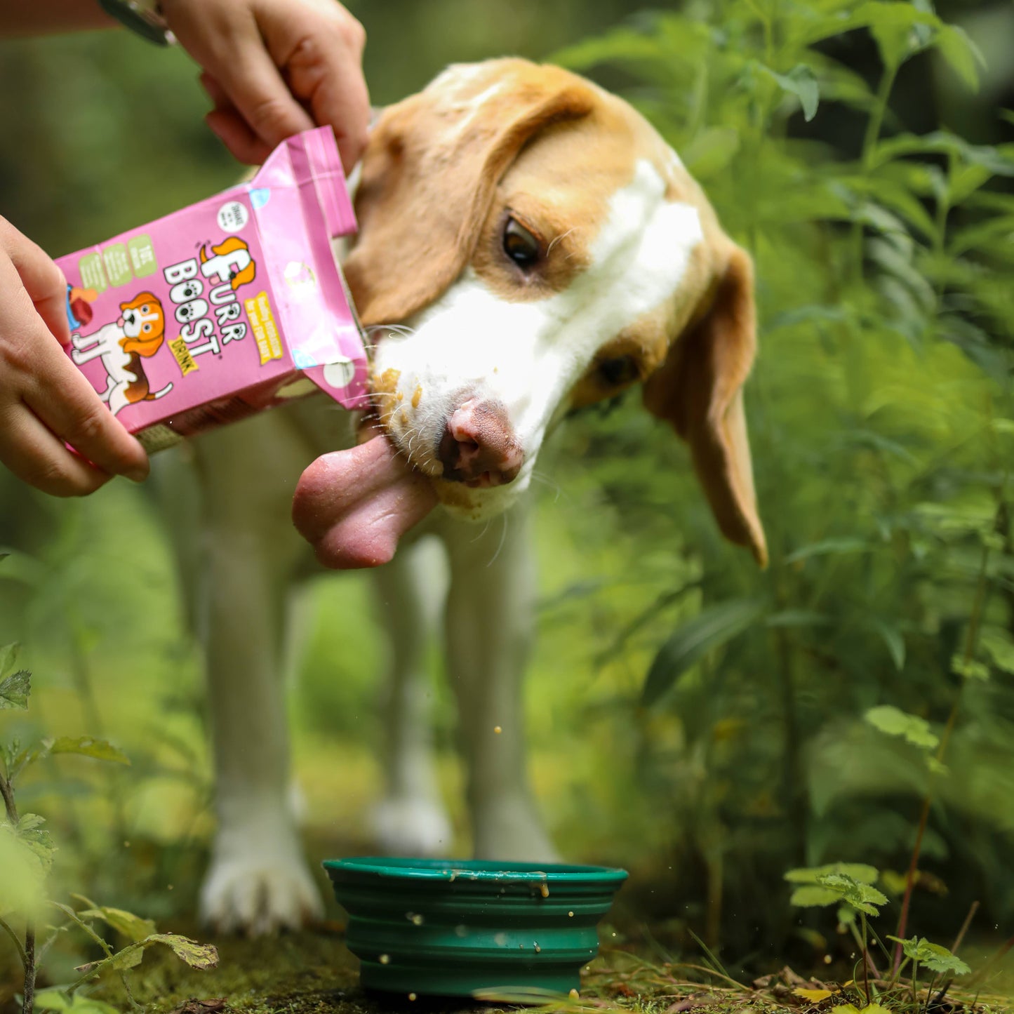 Venison, Butternut Squash and Cranberry