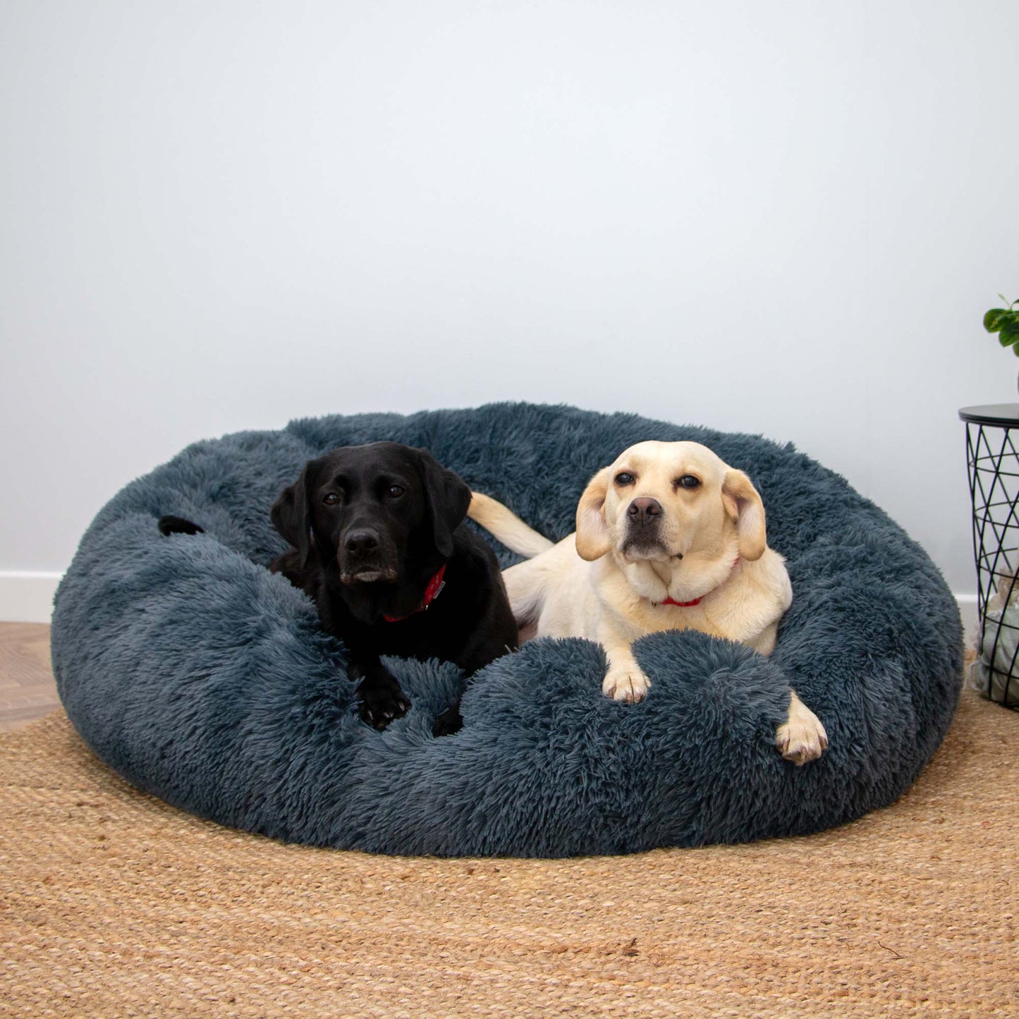 Giant Super Plush Donut Dog Bed 130cm Graphite