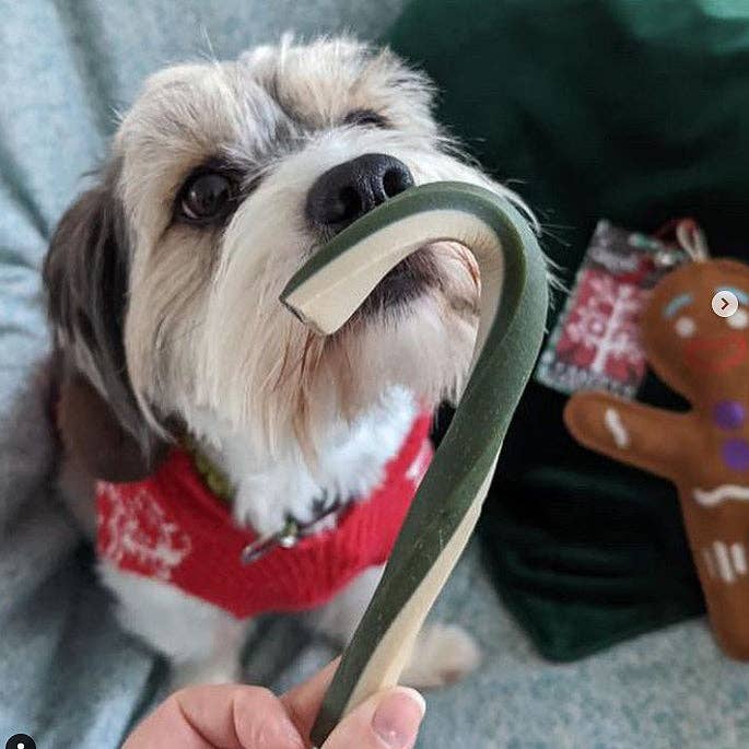 Xmas Veggie Cane