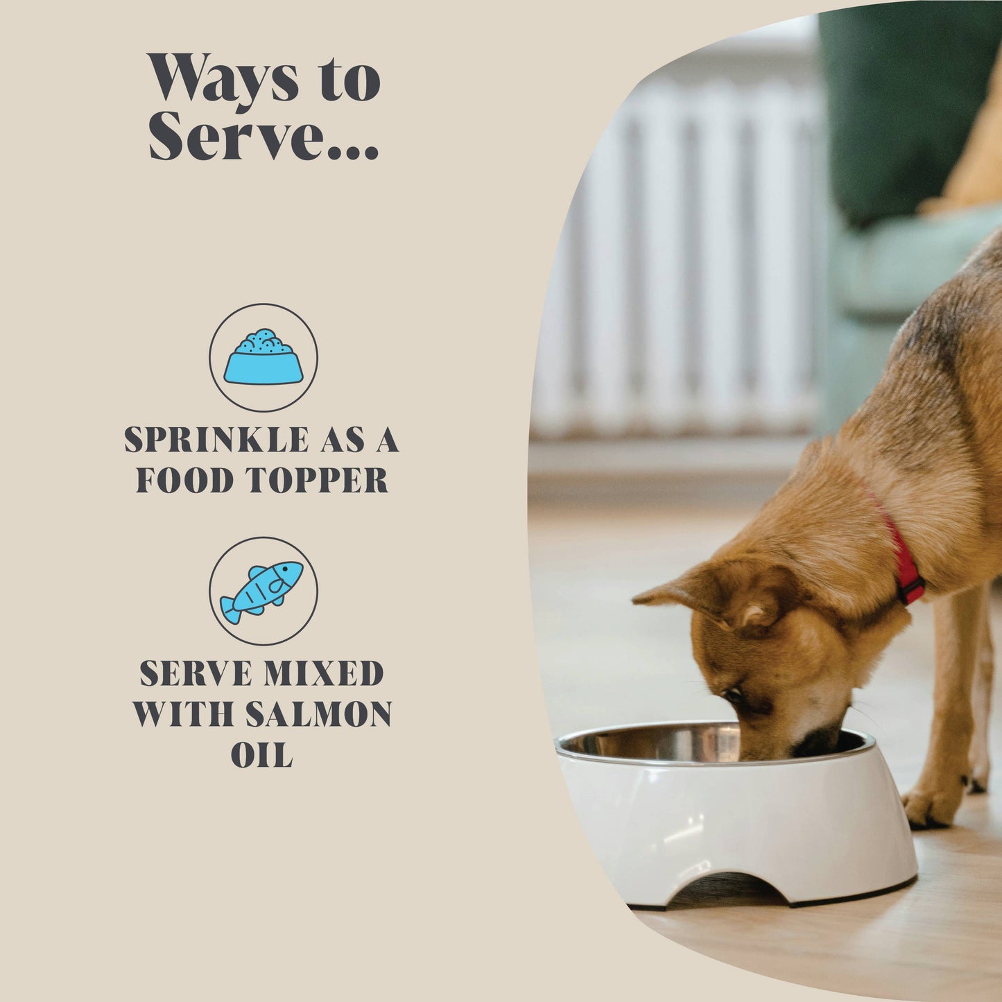 Plaque Seaweed Powder for Dogs | 80 Servings
