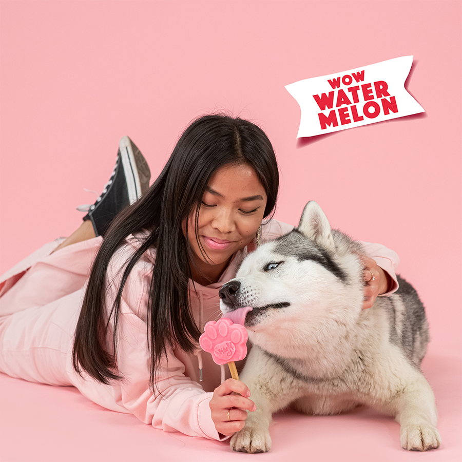 Watermelon Mix for Dog Ice Cream