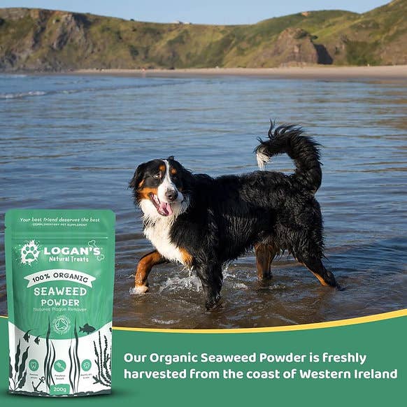 Organic Seaweed Powder - Pet Supplement - Dental Hygiene