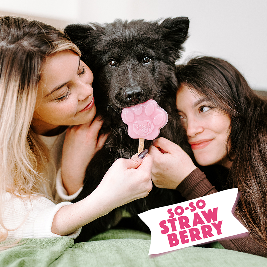 Strawberry Mix for Dog Ice Cream