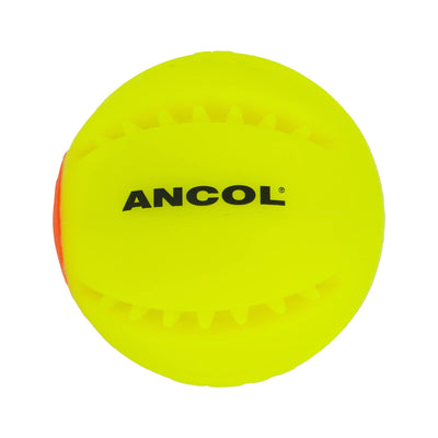 Rechargeable LED Dog Ball