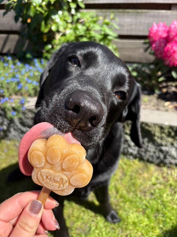 Peanut Butter Mix for Dog Ice Cream
