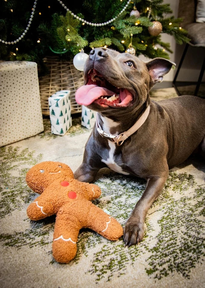 Gingerbread Man