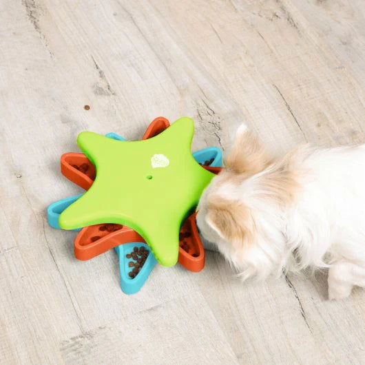 Active Training Twister