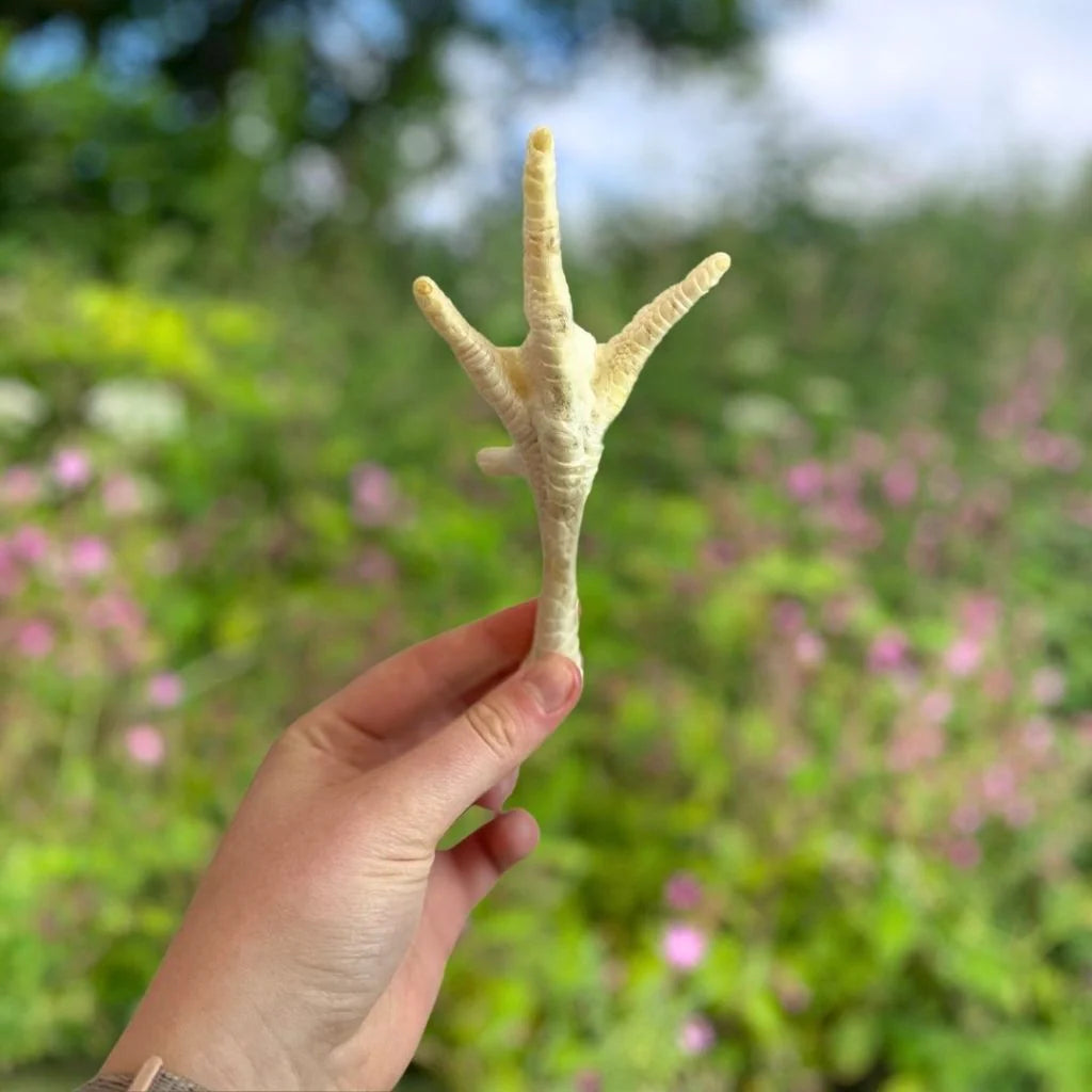 Puffed Chicken Feet