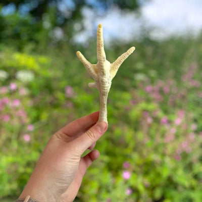 Puffed Chicken Feet