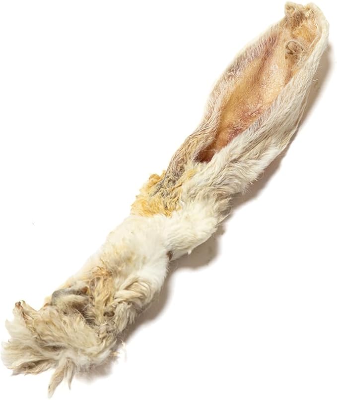 Small Rabbit Ears