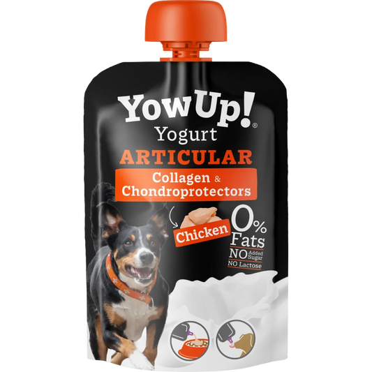 Yow Up Yoghurt - Articular